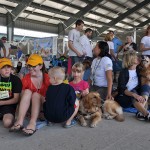 COPE Service Dogs at Barkfest Photo 2