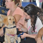 COPE Service Dogs at Barkfest Photo 6