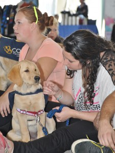 COPE Service Dogs at Barkfest Photo 6