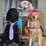 COPE Service Dogs Mothers Day High Tea Photo 2
