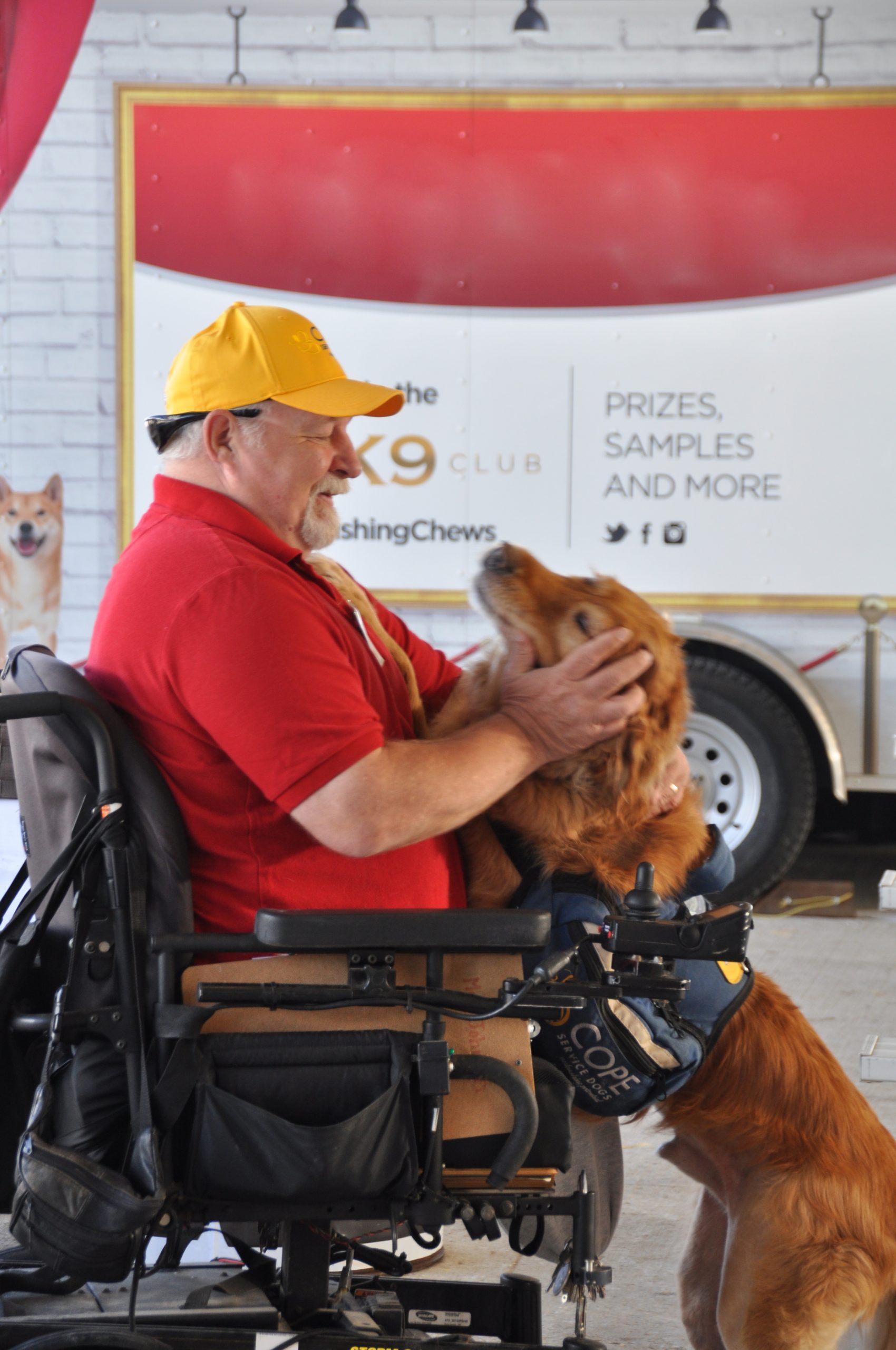 Working Dogs COPE Service Dogs