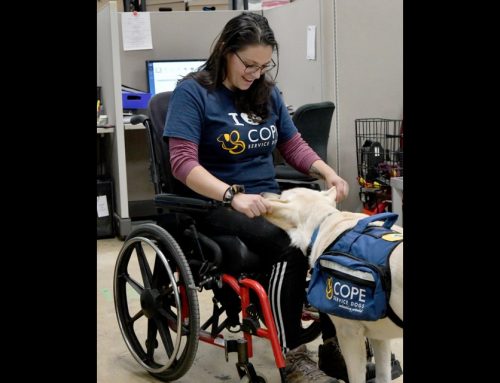 ‘Life altering’: Service dogs go to schools, lend helping paws (posted: July 24, 2022)